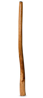 Peter Sherwood Didgeridoo (NV107)